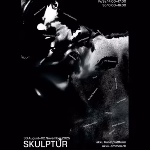 Skulptur - akku Kunstplattform 33 Emmenbrücke