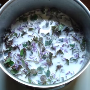 1 Tages Kräuterwanderung mit Kochen 4 Gang Kräuter Menü