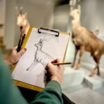 Offenes Zeichnen im Naturmuseum